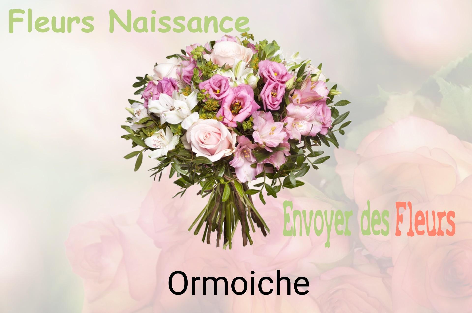 Bouquet de fleurs de naissance livré à Ormoiche
